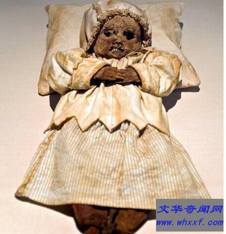 罗萨莉娅·隆巴多