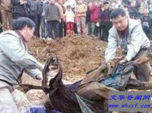 千年女尸复活走出古墓