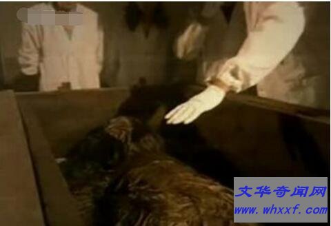 千年女尸复活走出古墓