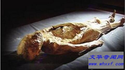 千年女尸复活走出古墓