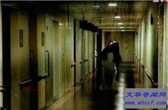 香港维多利亚公园厕所事件