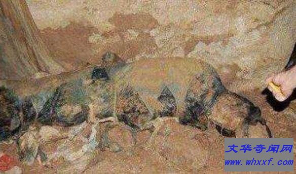 湘南僵尸村存在吗 中国僵尸事件被揭开