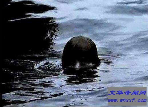 1991年日本河童事件